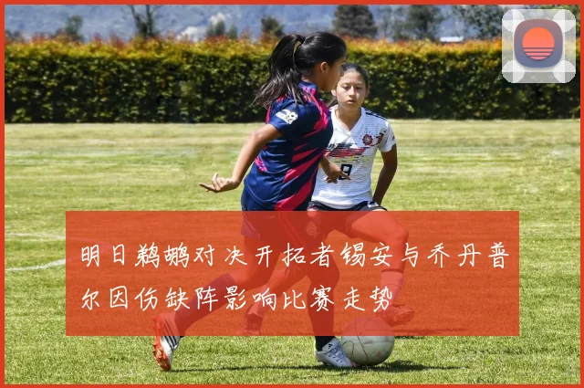 明日鹈鹕对决开拓者锡安与乔丹普尔因伤缺阵影响比赛走势